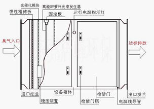 环保除臭技术助力饲料厂绿色生产
