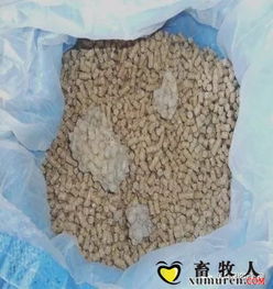 饲料几种典型霉变现象分析及解决办法
