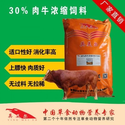 架子牛精饲料的科学饲喂技巧与管理要点
