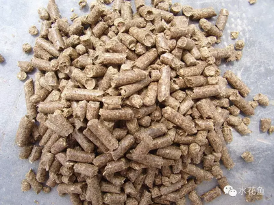 选择鱼饲料不要简单看指标